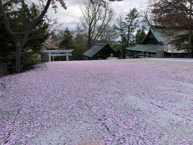 「早い終息をお祈りいたします」