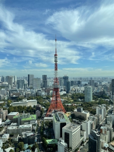 東京タワーがとても素敵なアングルから眺められます。「☆麻布台ヒルズへ☆」