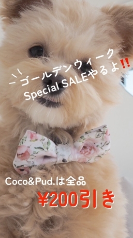 Coco&Pud. 200円OFF「GW特別企画開催！愛犬と一緒に買い物できます♪」