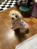 お客様が着られる子にどうぞのトレーナーよくお似合い「プー君💕お泊まり🏠🏠🌙」