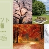 川口市のイベント情報