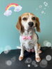 「可愛い子ちゃん♡ Dog salon mofu mofu 余市町」