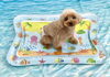 こなつちゃん「波とわんこ🌊」