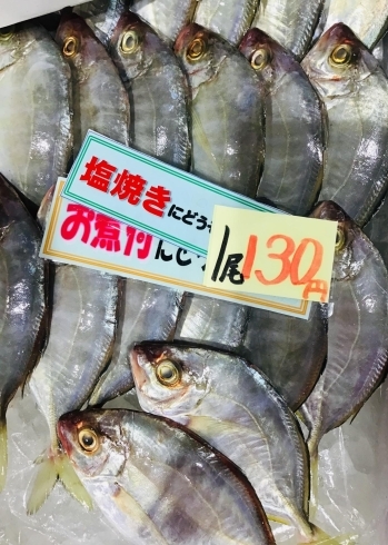 魚魚市場鮮魚コーナーおすすめは イトヨリ ヒラアジ です 魚魚の宿のニュース まいぷれ 佐世保