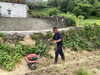 蒔く列を３回耕うんしてくださいました。「地域の方が畑に管理機を掛けてくださいました。」