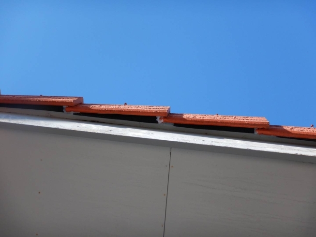 屋根部分のコウモリ対策「屋根部分のコウモリ対策」