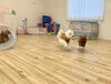 理玖くん　ジンジャーくんと遊んでくれました☺️💕「ましゅまろ幼稚園🐾パート２」