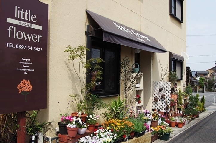 あかがねポイント加盟店 お花屋さん特集 新居浜あかがねポイント まいぷれ 新居浜市 あかがねポイント加盟店 お花屋さん特集 新居浜あかがねポイント まいぷれ 新居浜市