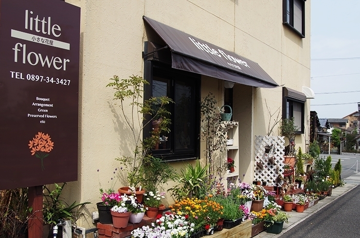 あかがねポイント加盟店 お花屋さん特集 新居浜あかがねポイント まいぷれ 新居浜市 あかがねポイント加盟店 お花屋さん特集 新居浜あかがねポイント まいぷれ 新居浜市