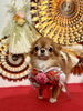 こてつくん「Happy New Year」