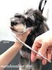「冬のオプションキャンペーン　^o^」
