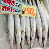 「魚魚市場鮮魚コーナーおすすめは「ヒラアジ・地タコ」です♪」