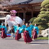「4/3(水)13:00~多古町妙光寺【千部会】」