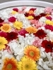 「爽やかな紫陽花✨花手水入れ替えました💁🏻‍♀️」