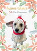 「Dog salon mofu mofu　余市町」
