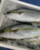 「本日鮮魚入荷してまーす」