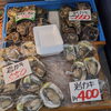 「岩牡蠣まだあります！！」
