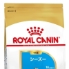 RC BHN シーズー　子犬　1.5kg