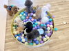 宝さがし中〜「ましゅまろ幼稚園🐾」