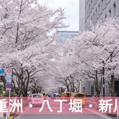 八重洲・八丁堀・新川エリアのお花見マップ