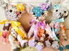 「☆５月の予定☆」