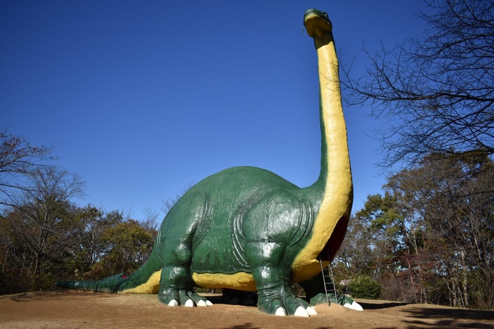 水戸市森林公園 水戸の観光 名所 名物を巡ってみよう まいぷれ 水戸市 水戸市森林公園 水戸の観光 名所 名物を巡ってみよう まいぷれ 水戸市