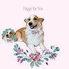 「Dog salon mofu mofu　余市町」