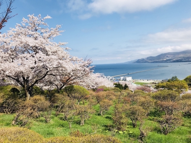 小樽市 まいぷれ