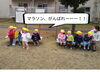 みんなの応援♡♡♡「チューリップさん大きくなってね♡【交野市・小規模保育園】」