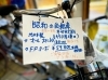 カワムラサイクル ダイバーFSサーボ（DT-FS-S-k）創庫に半世紀以上眠っ