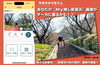 🍂秋🍂らしい映える新居浜のお写真お待ちしてます「今回のチーカトップ画像はユーザーさんから投稿いただいた素敵な画像を掲載しています📸✨」