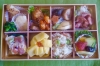 春はお花見に行こう お弁当編 奥州市 暮らしを楽しくするお店まとめ まいぷれ 花巻 北上 一関 奥州 春はお花見に行こう お弁当編 奥州市 暮らしを楽しくするお店まとめ まいぷれ 花巻 北上 一関 奥州