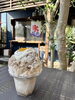 静岡和紅茶ミルクティー「かき氷テラス席もあります🍧　焼津/大井川/カフェ/ランチ/テイクアウト/かき氷/静岡かき氷/デザート/ワンちゃんOK」