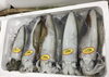 「魚魚市場鮮魚コーナーおすすめは「ユメカサゴ」です」
