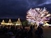 「長岡花火財団×国営越後丘陵公園の一夜限りのスペシャルコラボ☆」