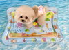 みにょんちゃん「波とわんこ🌊」