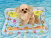 はなちゃん「波とわんこ🌊」
