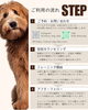 「＼出張トレーニングのご案内🐶／」