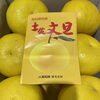 「今年も入荷してます✨ 高知県産　「土佐文旦」 「文旦」の季節がやってまいりました～♪」