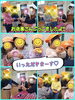 「内科検診✳︎」
