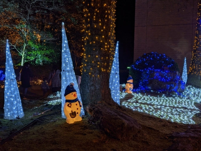 「【新居浜市:立川町】マイントピア別子のwinter Illumination」