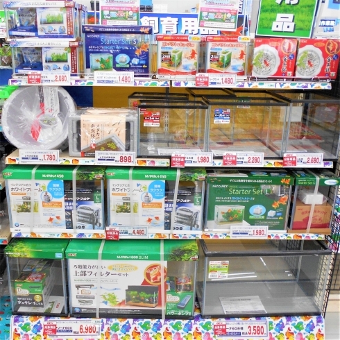 「昆虫用品、水槽用品が入荷致しました。」