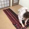 ちょこっとお試しれっすん