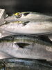 「本日鮮魚精肉祭！釧路スーパーヒロセ」