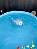 泳ぐよ〜「ましゅまろプールDAY🐳」