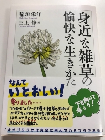 今回中一国語の範囲「大根は大きな根？」の作者の本。「開校7周年記念6月6日14：00～　オンラインセミナー　ZOOMによる『国語力とは何か』－国語力の正体とは？」