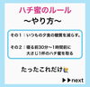 「はちみつ効果で美と健康を！」
