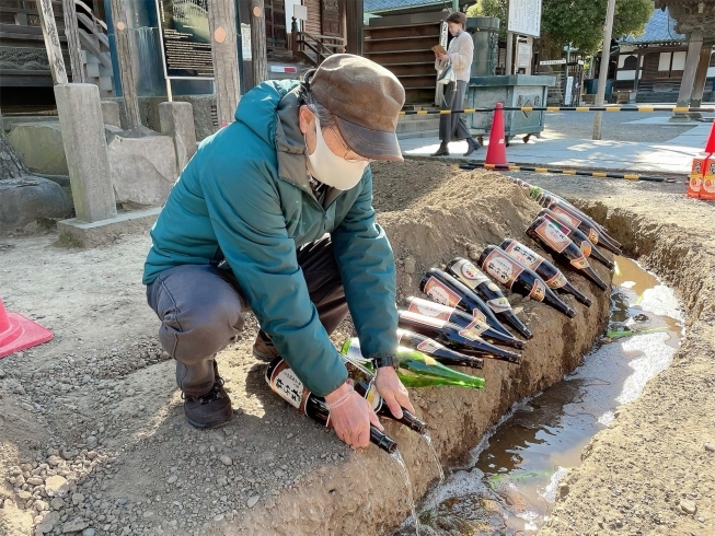 「約120本の日本酒を松に！柴又帝釈天の瑞竜松（ずいりゅうまつ）への『寒肥（かんぴ）』が行われました♪」