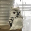 ミミズクさん「最近の入荷商品」