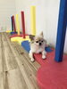 そこはベッドじゃないですよ〜　絆く〜ん「ましゅまろ幼稚園　(^-^)」